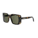 55N - Shiny Havana - Green