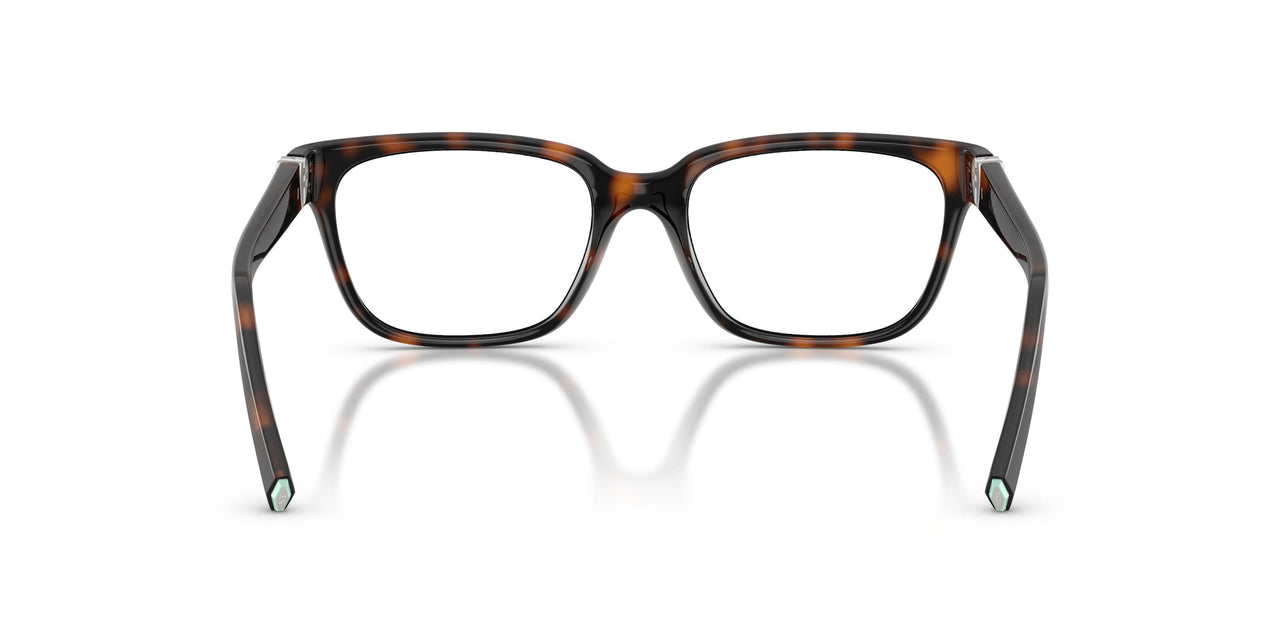 8015 - Tortoise
