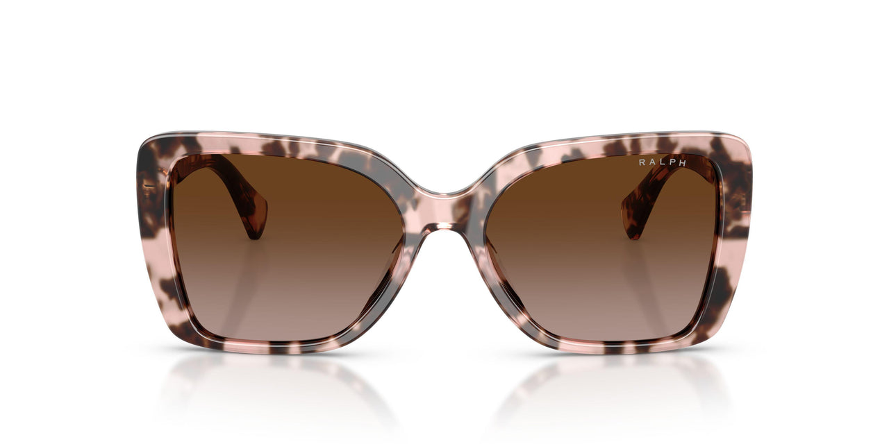 605813 - Tortoise - Gradient Brown