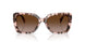 605813 - Tortoise - Gradient Brown