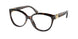 3953 - Amazon Green Tortoise