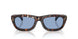 304880 - Tortoise - Solid Light Blue