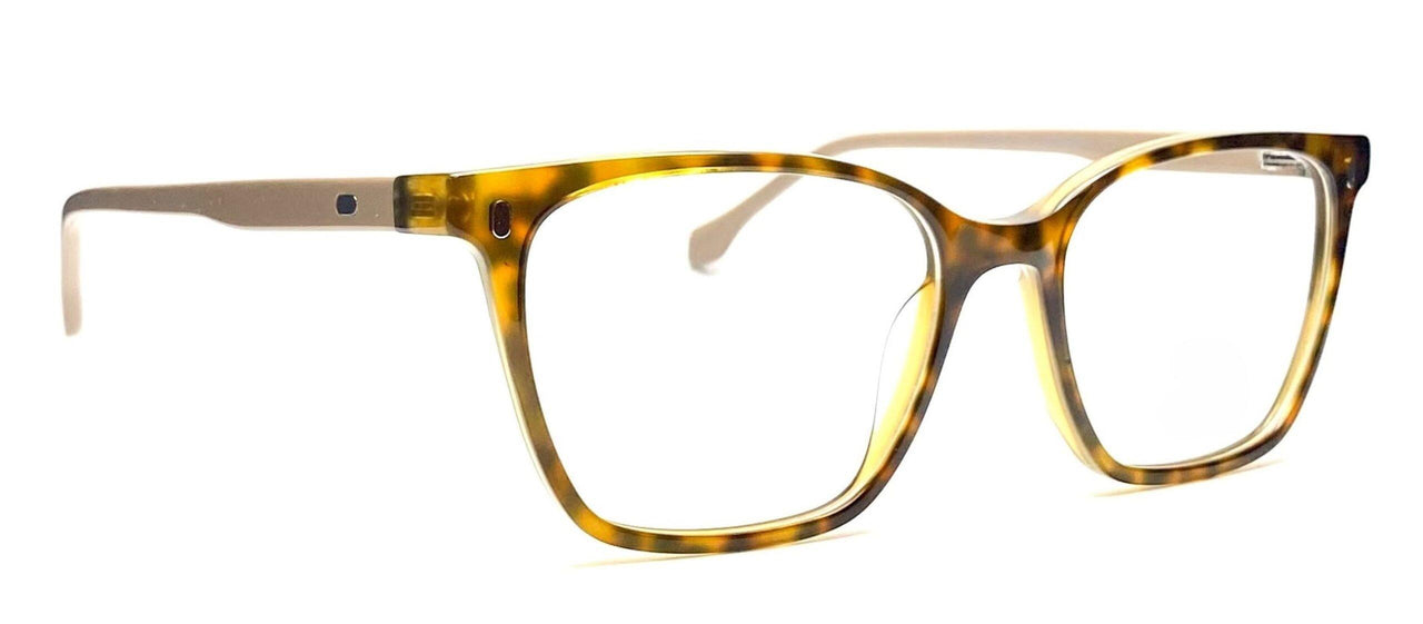 C2 - Brown