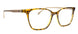C2 - Brown