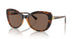 W65673 - Brown - Dark Brown