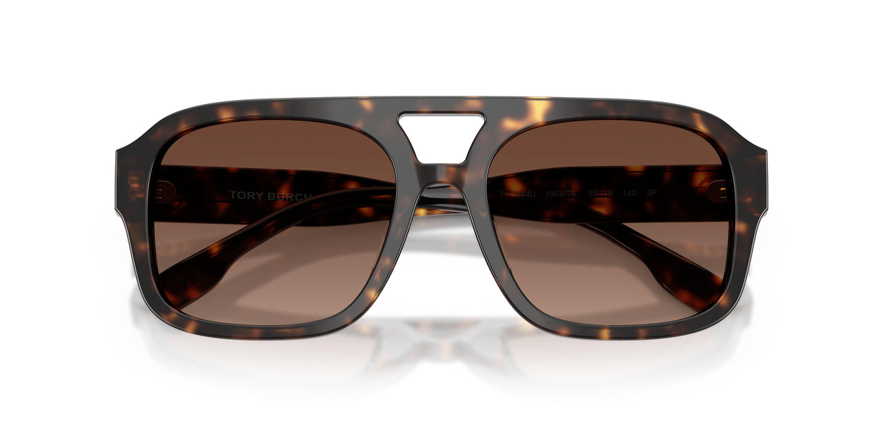 1964T5 - Tortoise - Polar Light Brown Gradient