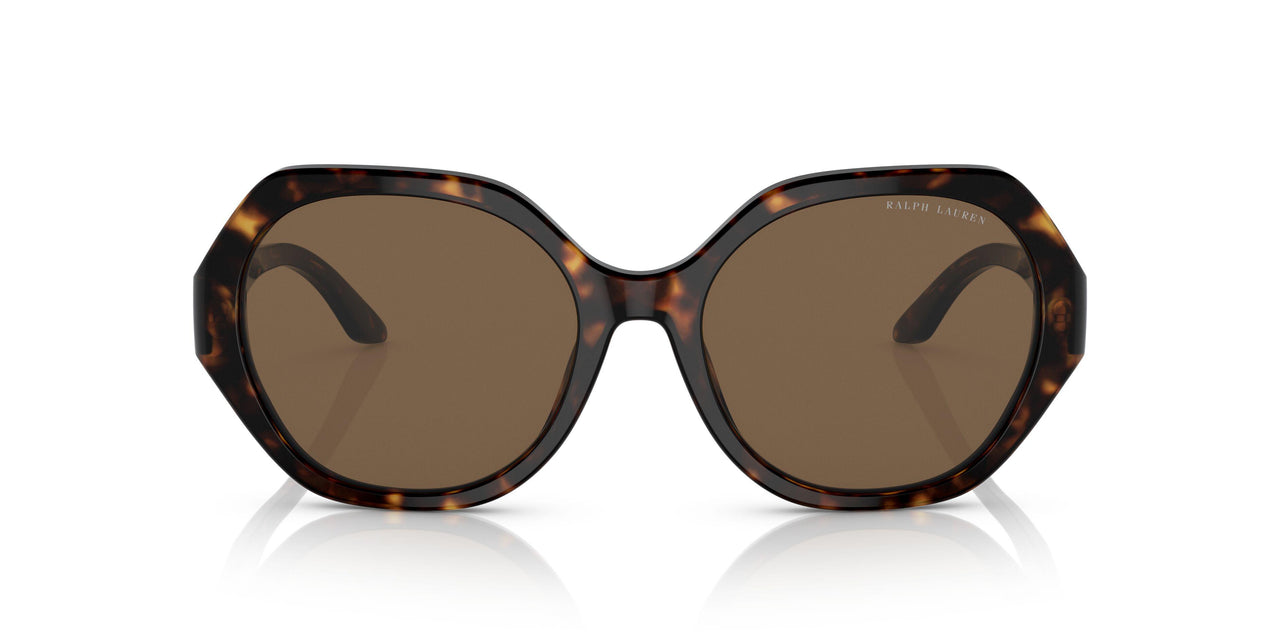 500373 - Havana - Dark Brown