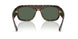 679071 - Tortoise - Green