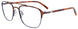 10 - Demi Brown & Grey / Demi Brown
