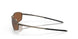 414113 - Gunmetal - Prizm Tungsten Polarized