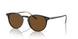 166657 - Brown - True Brown Polarized