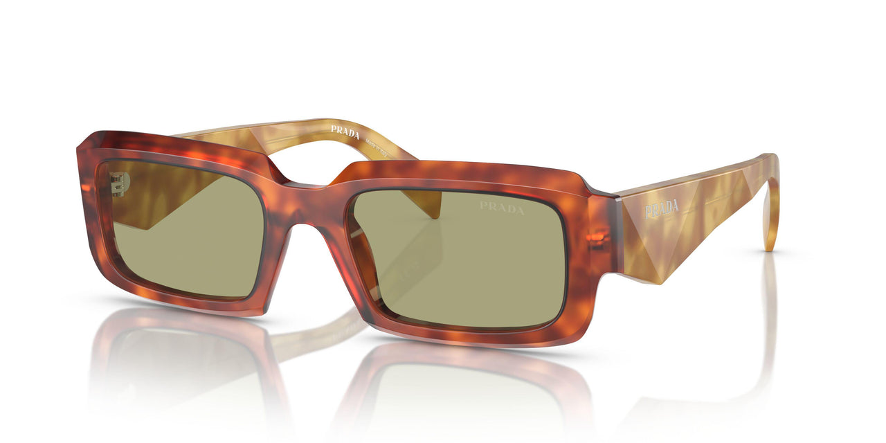 11P60C - Brown - Green