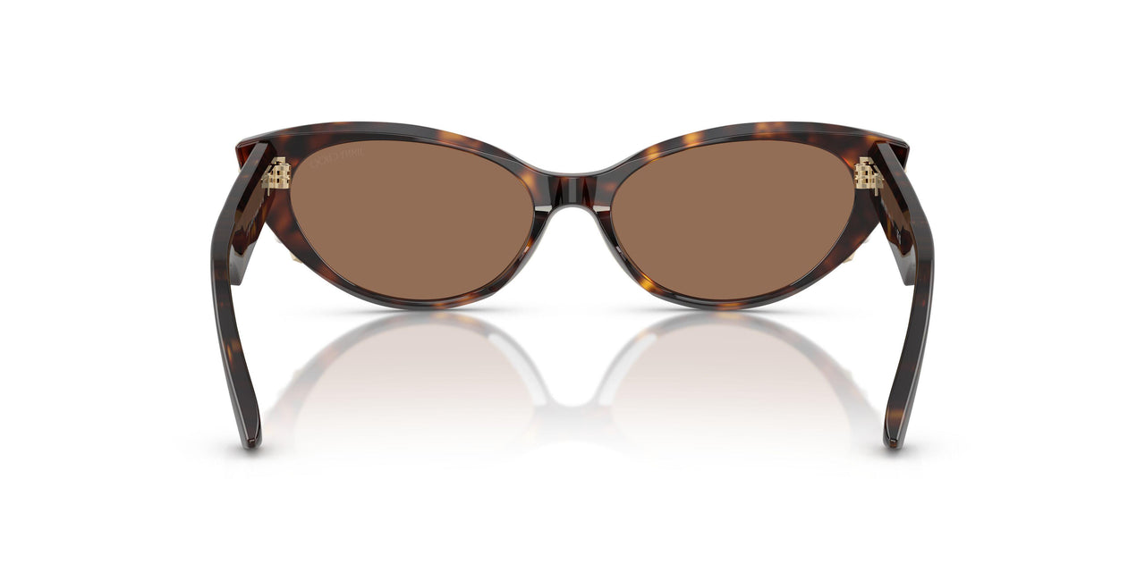 500273 - Tortoise - Dark Brown
