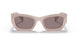 17C6X1 - Pink - Purple Brown