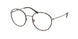 Polo 1210 Eyeglasses