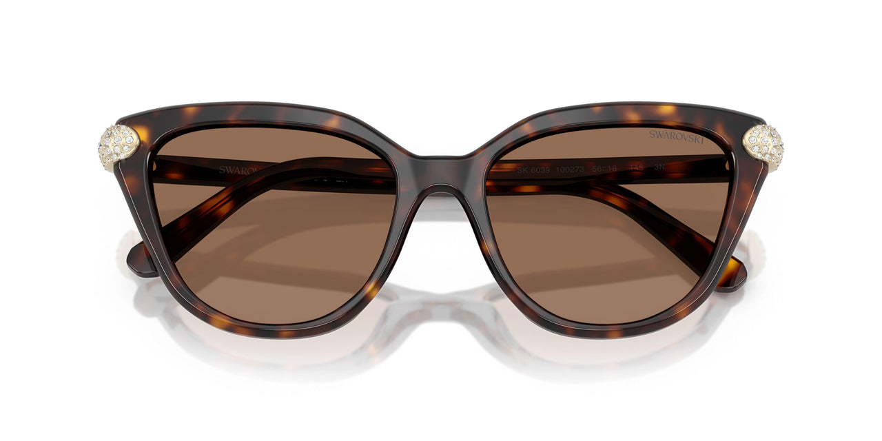 100273 - Tortoise - Dark Brown
