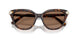 100273 - Tortoise - Dark Brown