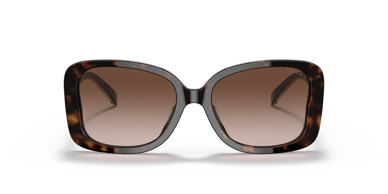 512013 - Havana - Dark Brown Gradient