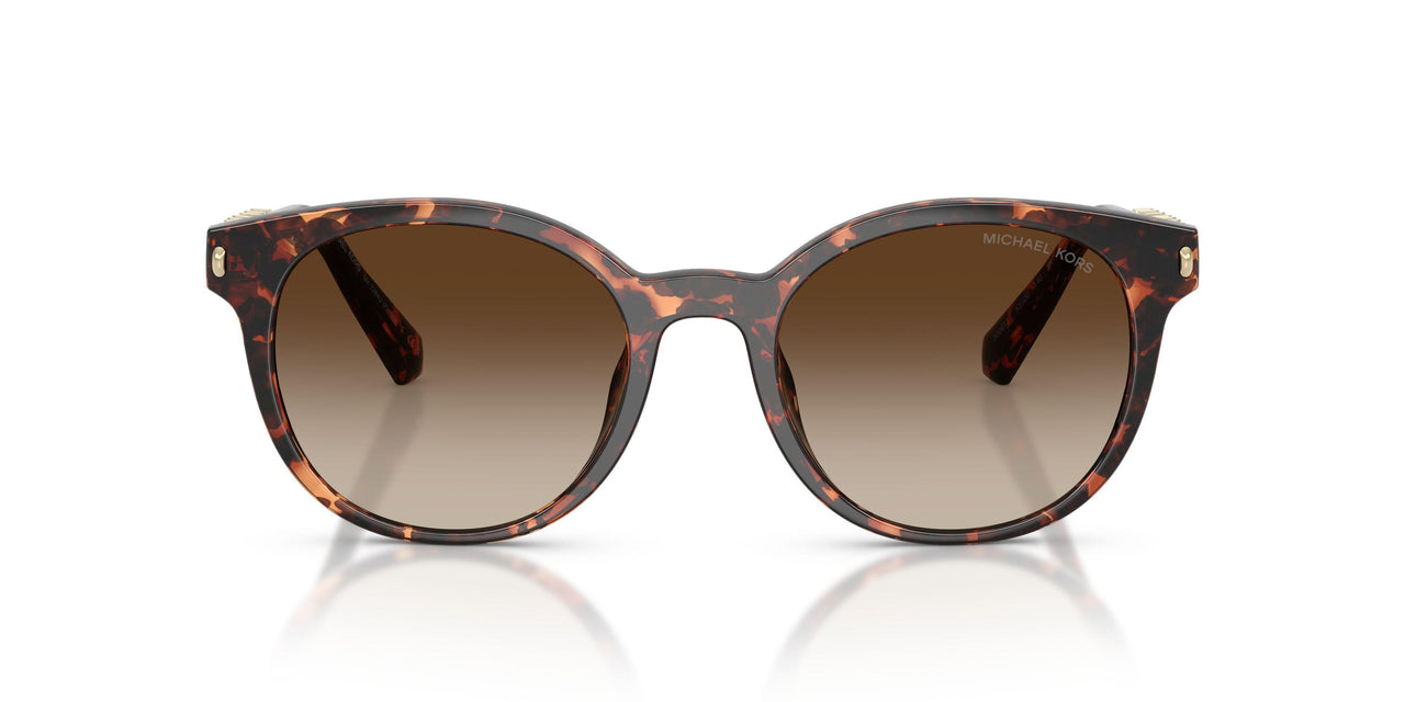 300613 - Tortoise - Smoke Gradient