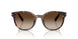 300613 - Tortoise - Smoke Gradient