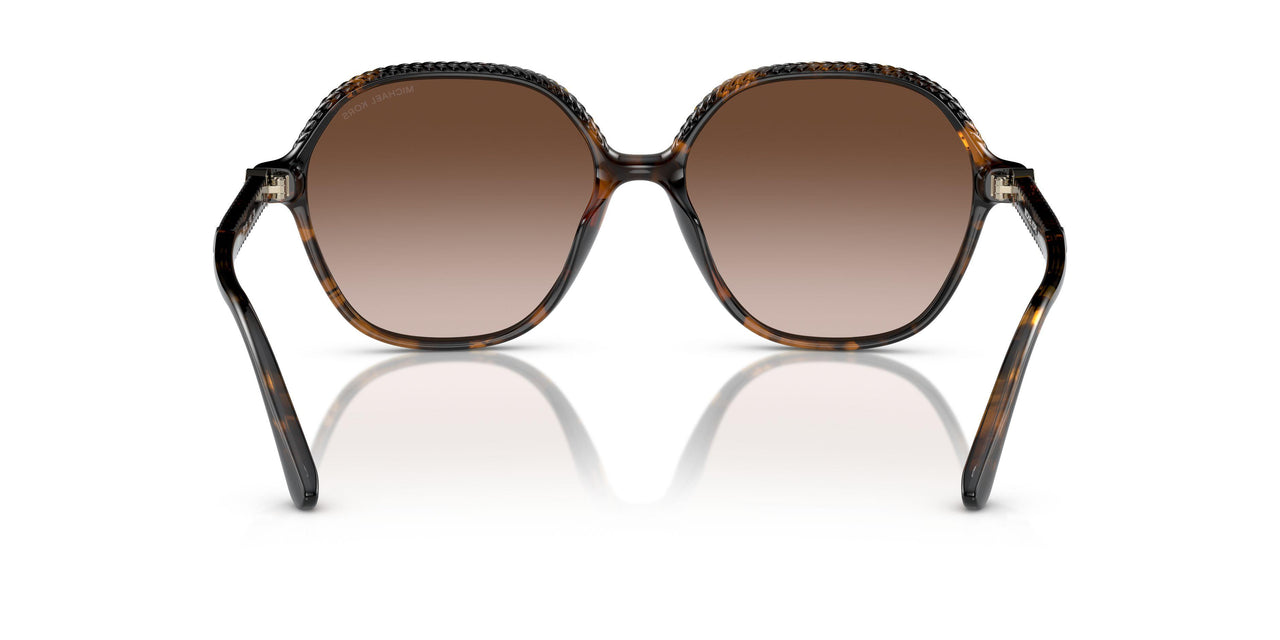 300613 - Tortoise - Brown Gradient