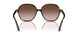 300613 - Tortoise - Brown Gradient