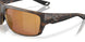 912912 - Tortoise - Gold Mirror