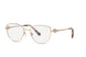 Chopard VCHG02S Eyeglasses