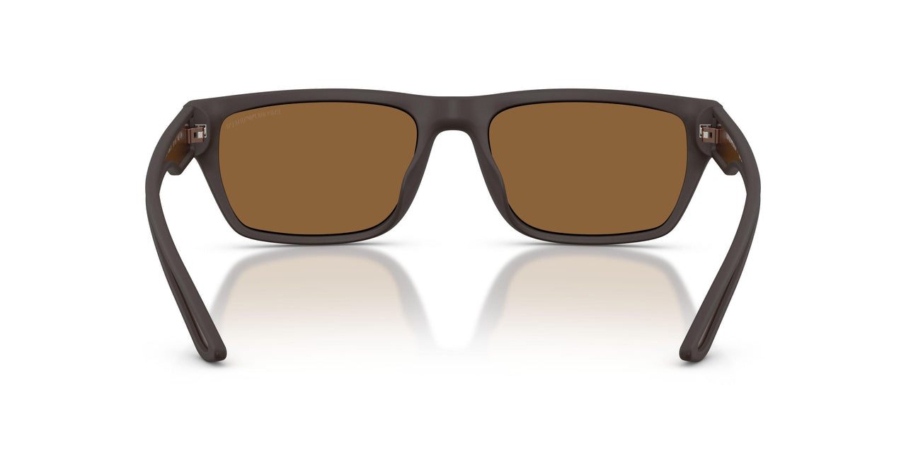 618673 - Brown - Brown