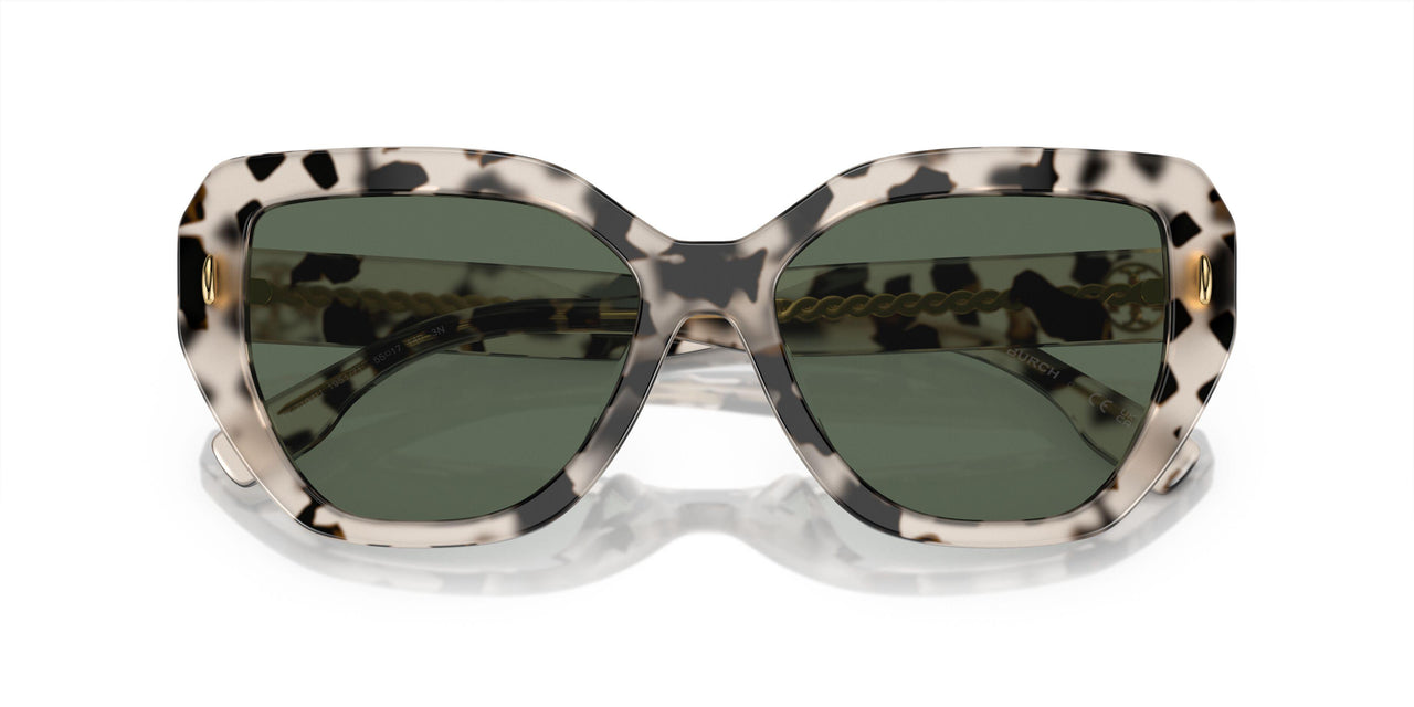 195171 - Tortoise - Dark Green