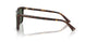 500271 - Tortoise - Dark Green