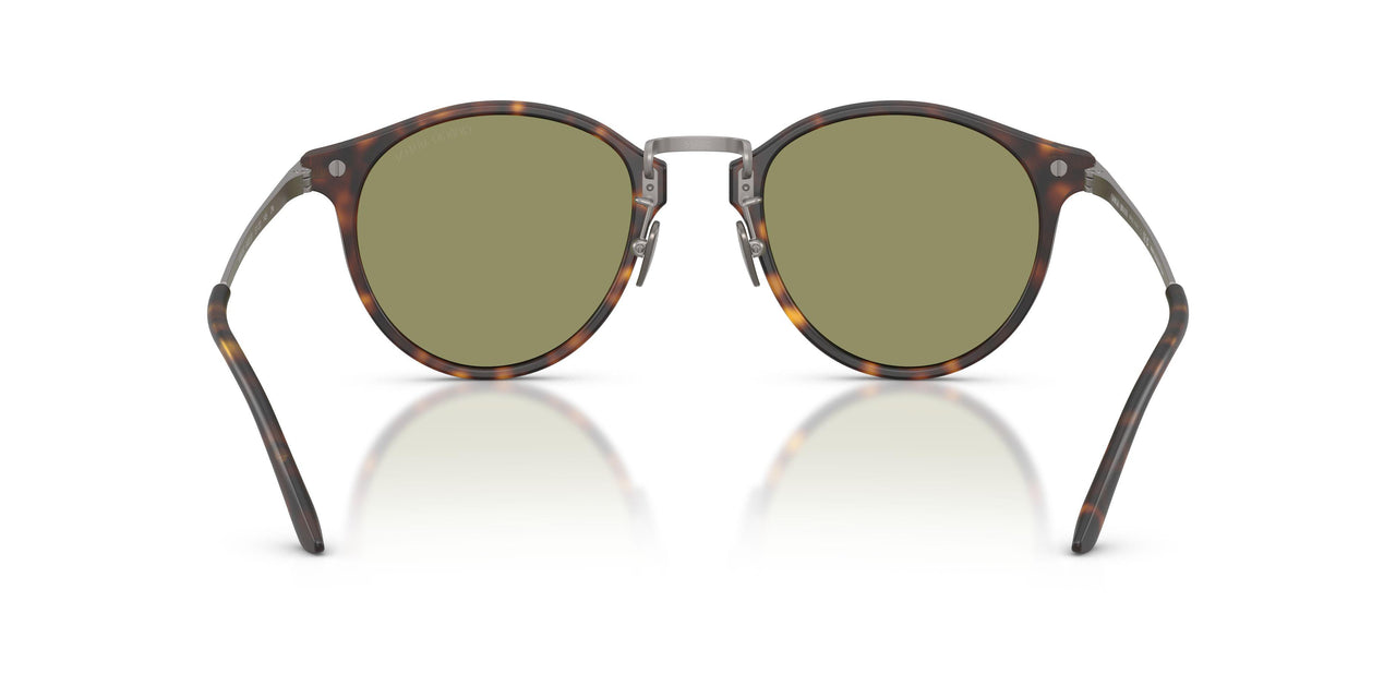 640353 - Tortoise - Green