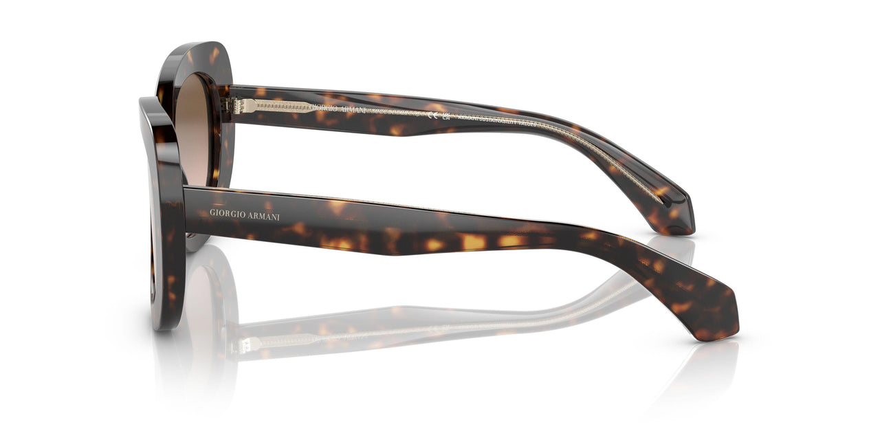 587951 - Havana - Gradient Brown