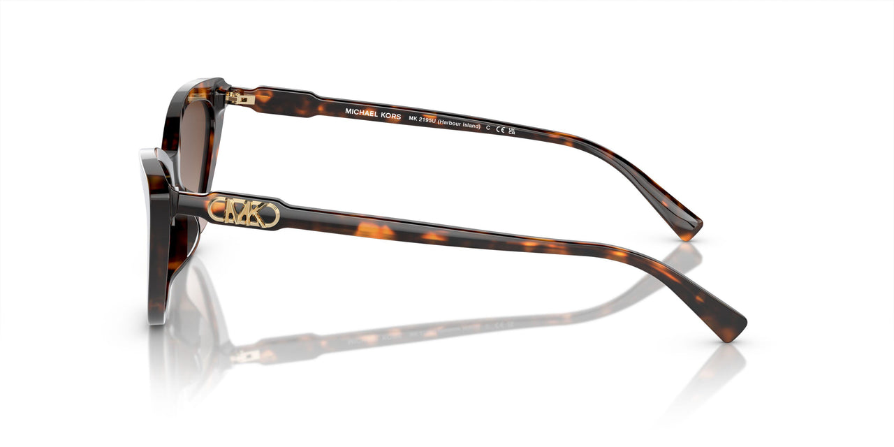 300613 - Tortoise - Brown Gradient