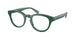 Polo 2262 Eyeglasses