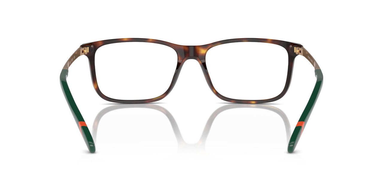 6137 - Tortoise