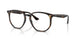 710/M1 - Havana - Photo Clear To Grey/green Quar