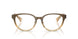 4201 - Brown