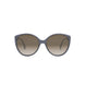 90F - Shiny Blue - Gradient Brown