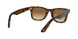 710/51 - Havana - Brown Gradient