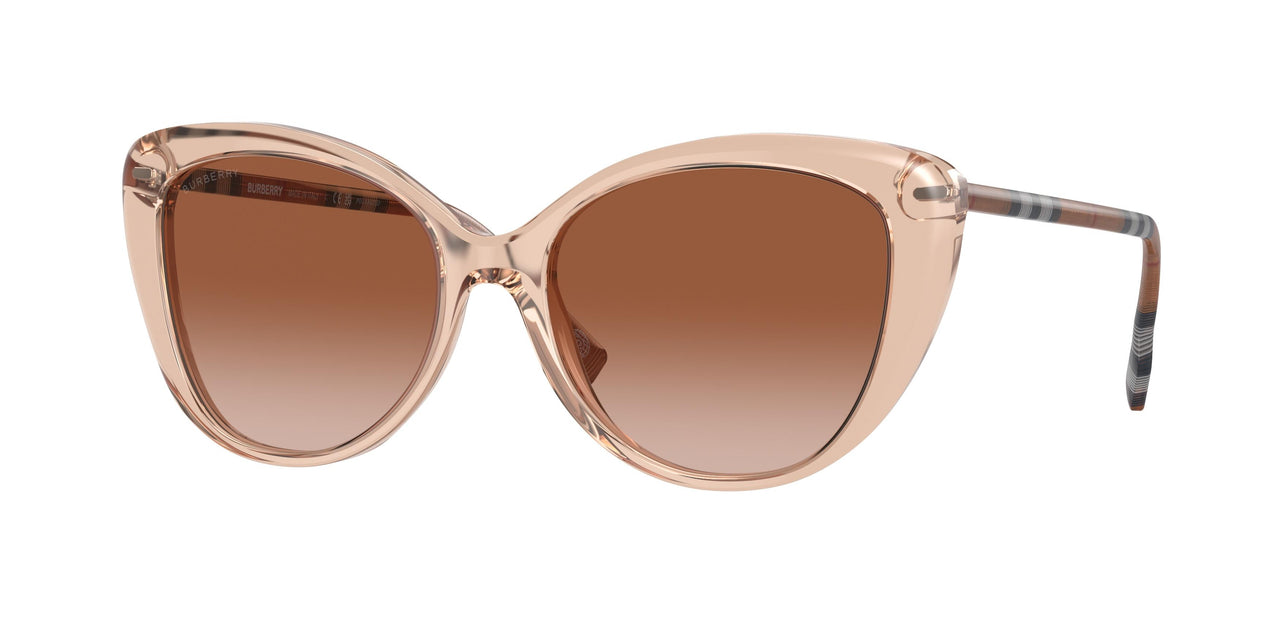 408813 - Pink - Brown Gradient