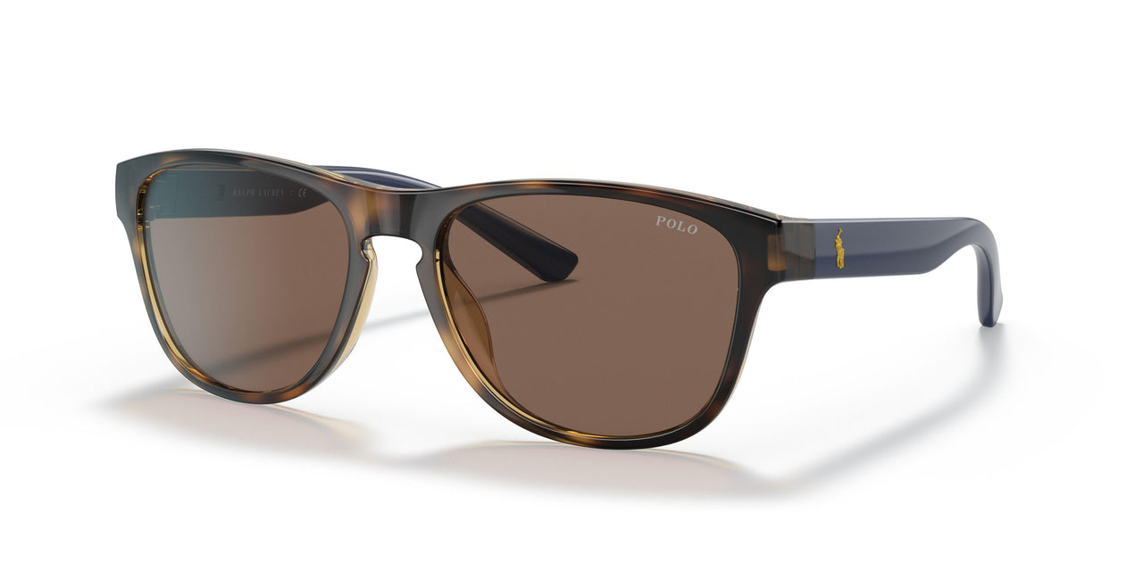 500373 - Havana - Brown