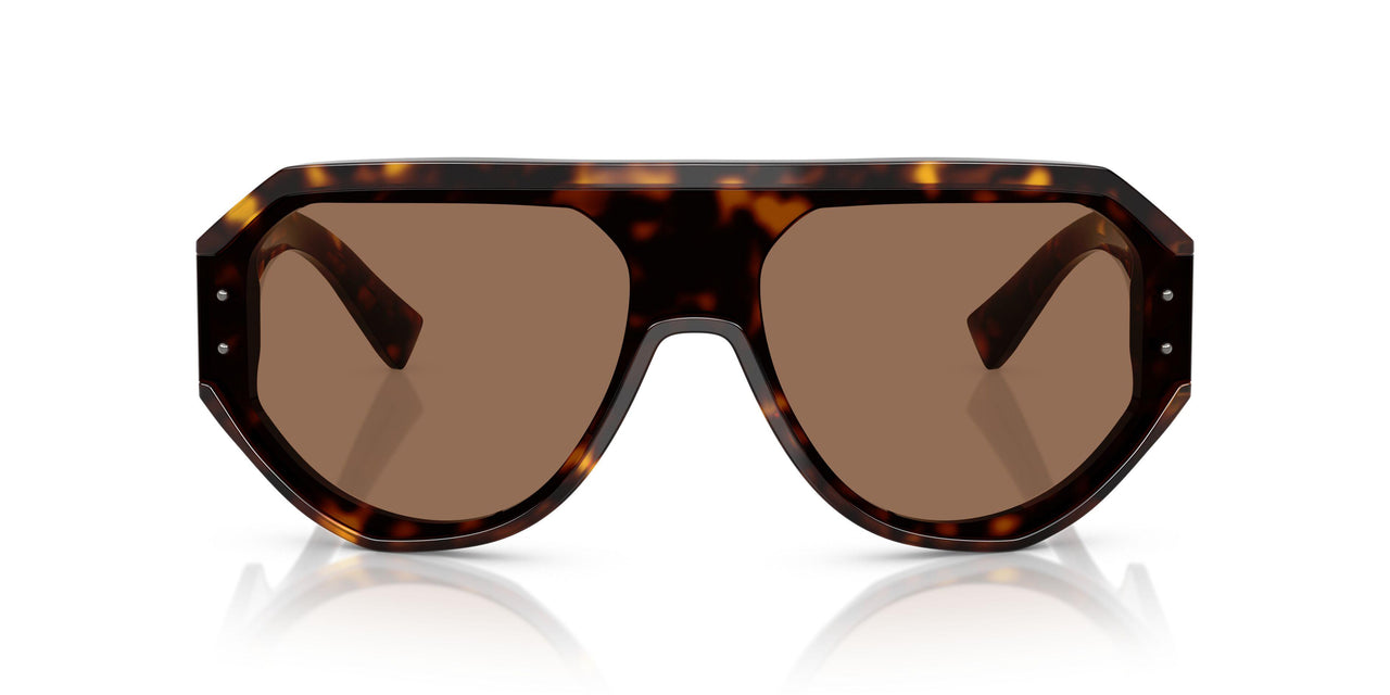 502/73 - Tortoise - Dark Brown