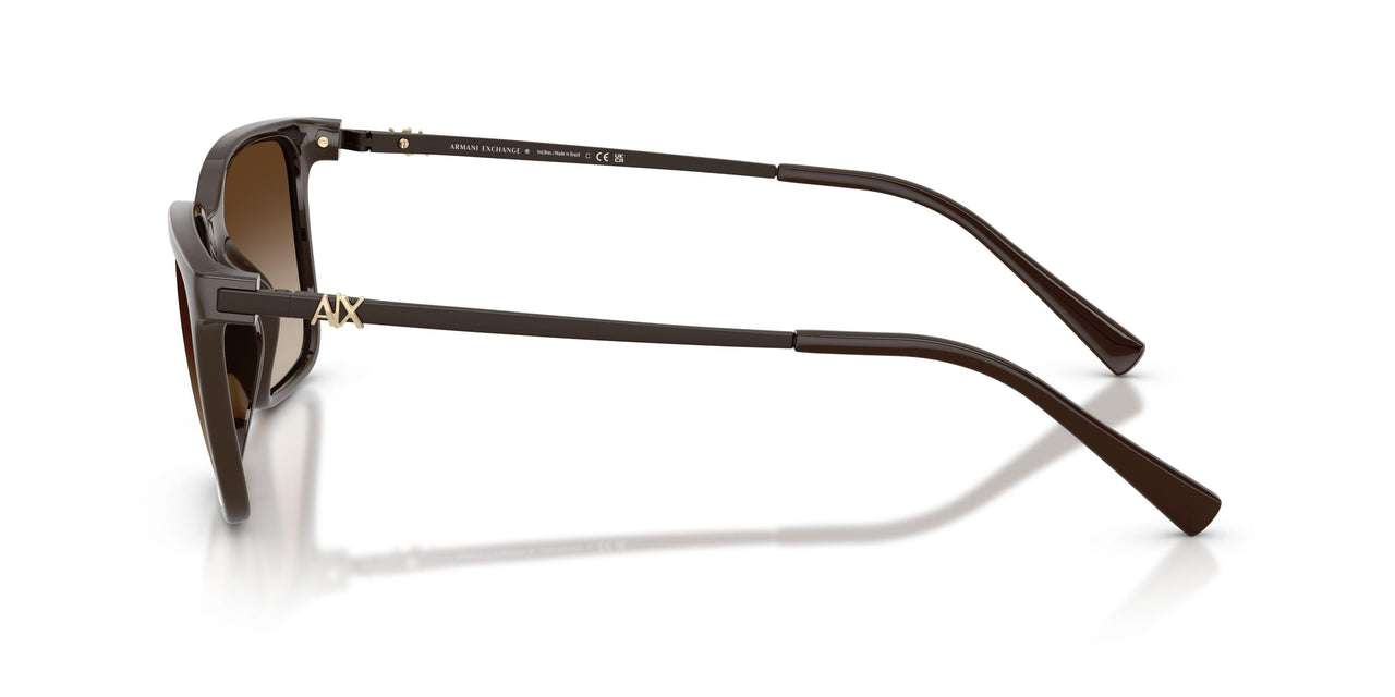 842213 - Brown - Brown Gradient