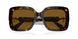100283 - Tortoise - Polarized Brown