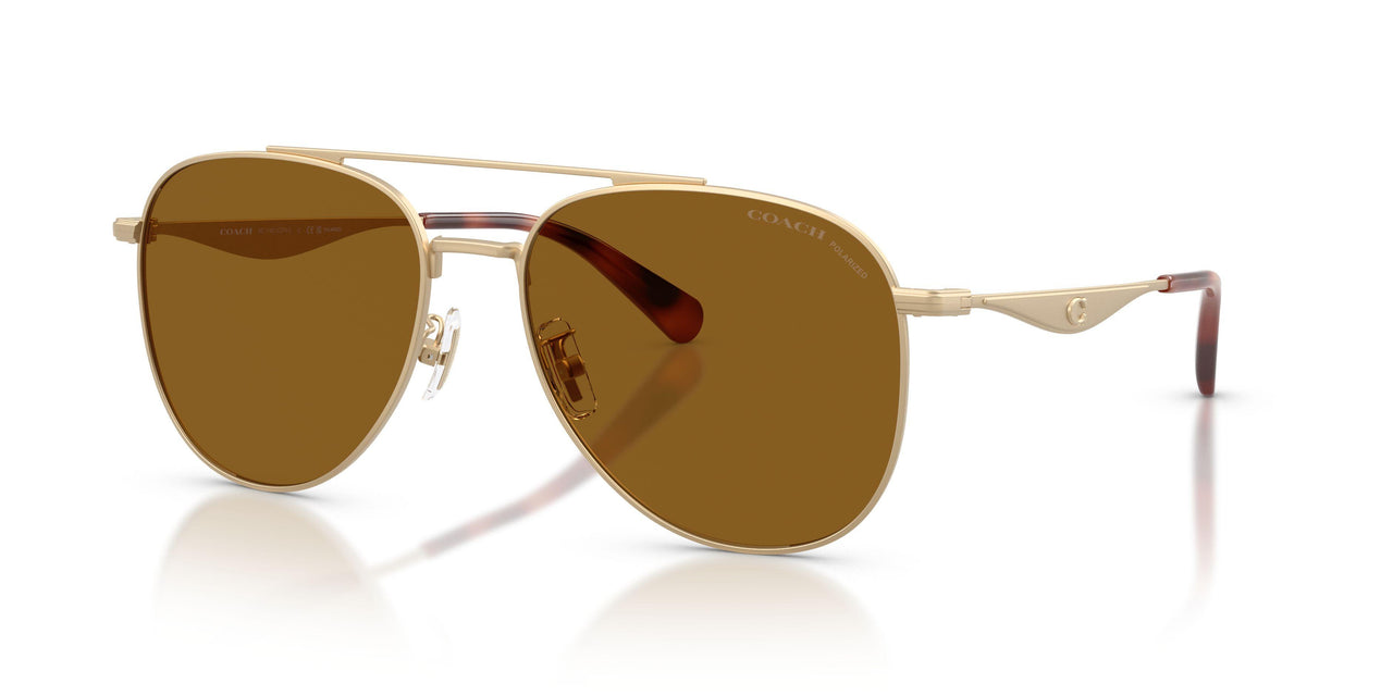 Coach Cdp40 7190 Sunglasses