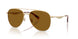 Coach Cdp40 7190 Sunglasses