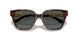 108/87 - Tortoise - Dark Grey