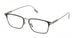 ZEGNA 5316D Eyeglasses