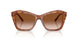 511413 - Brown - Brown Gradient